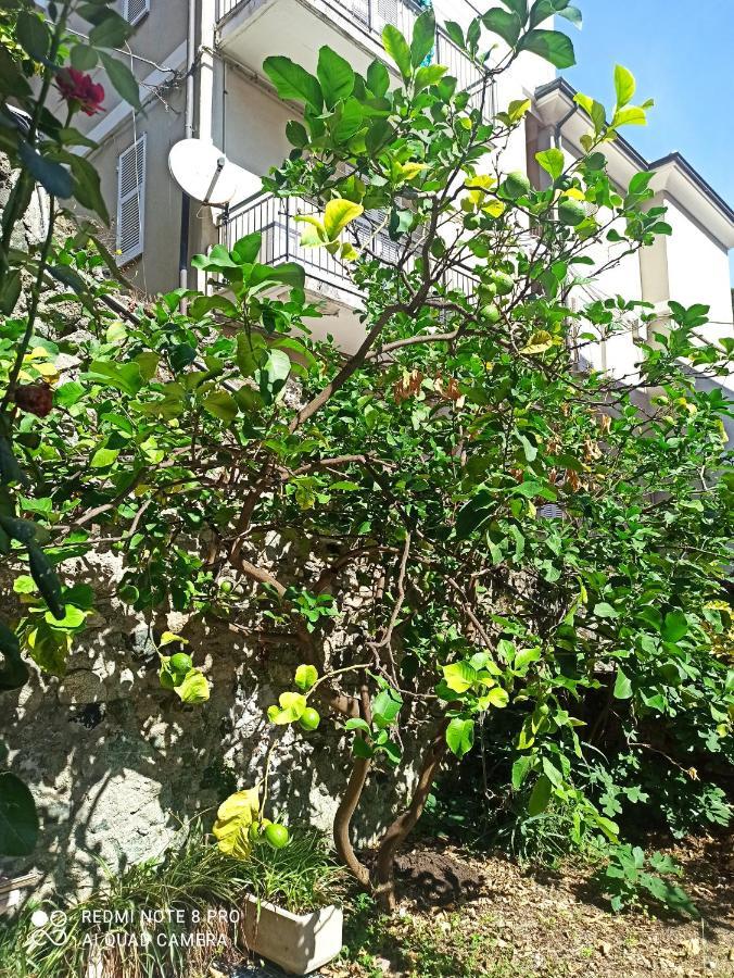 Lemons House Lägenhet Monterosso al Mare Exteriör bild